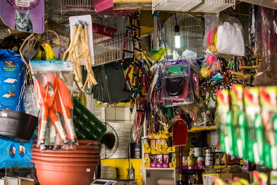 Dierenwinkel